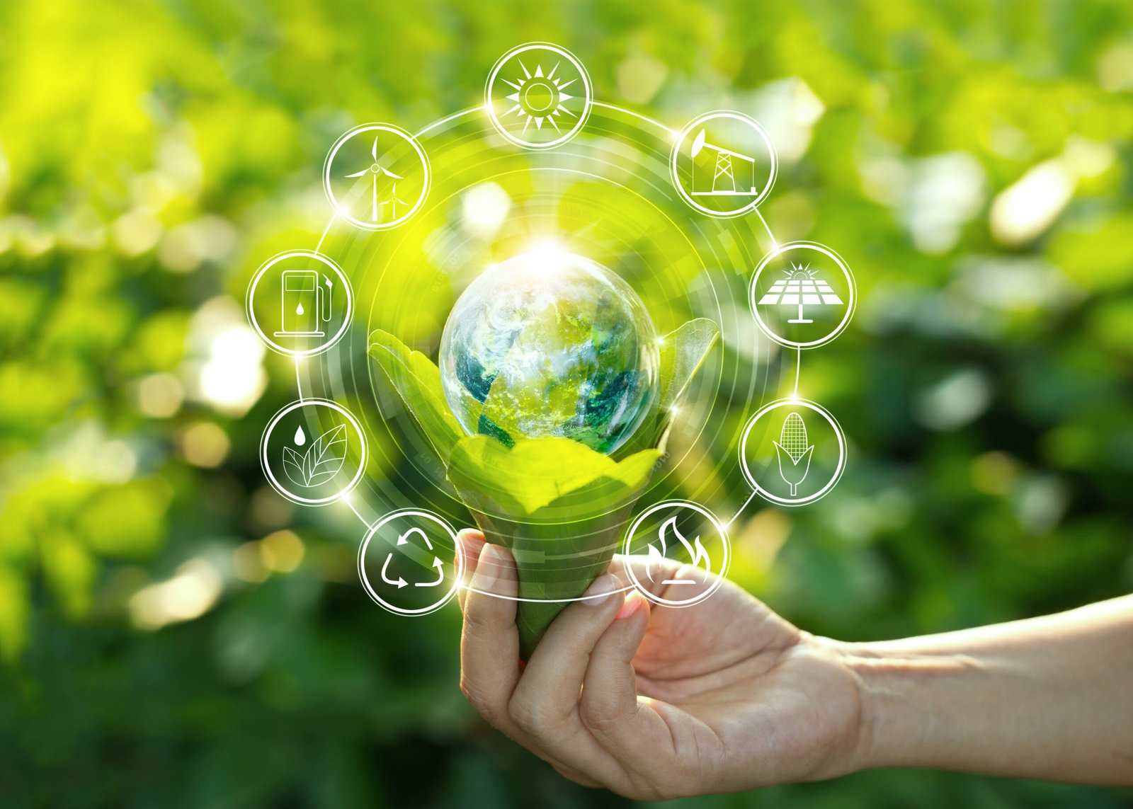Environnement